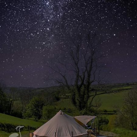 ホテル Herons Retreat Llandysul エクステリア 写真